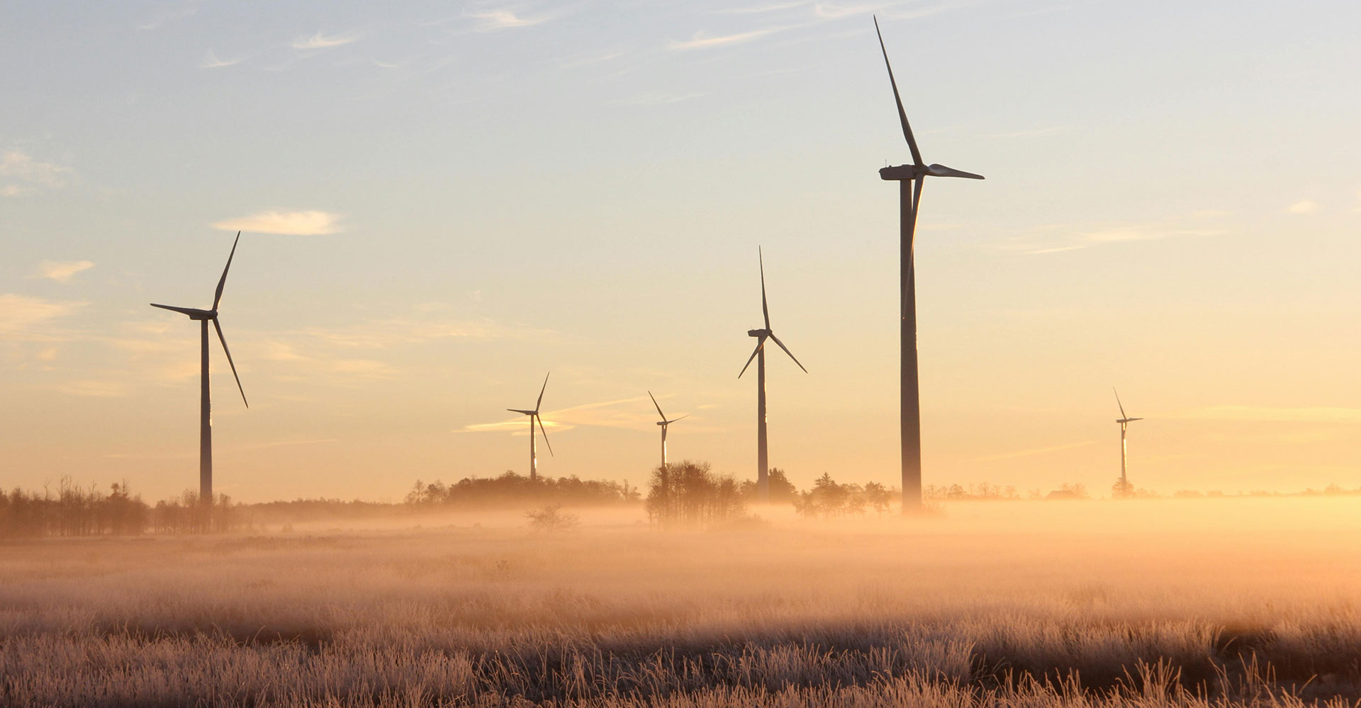 Wind turbines stand in a foggy, frosty field at dawn with a soft, glowing orange sky in the background.