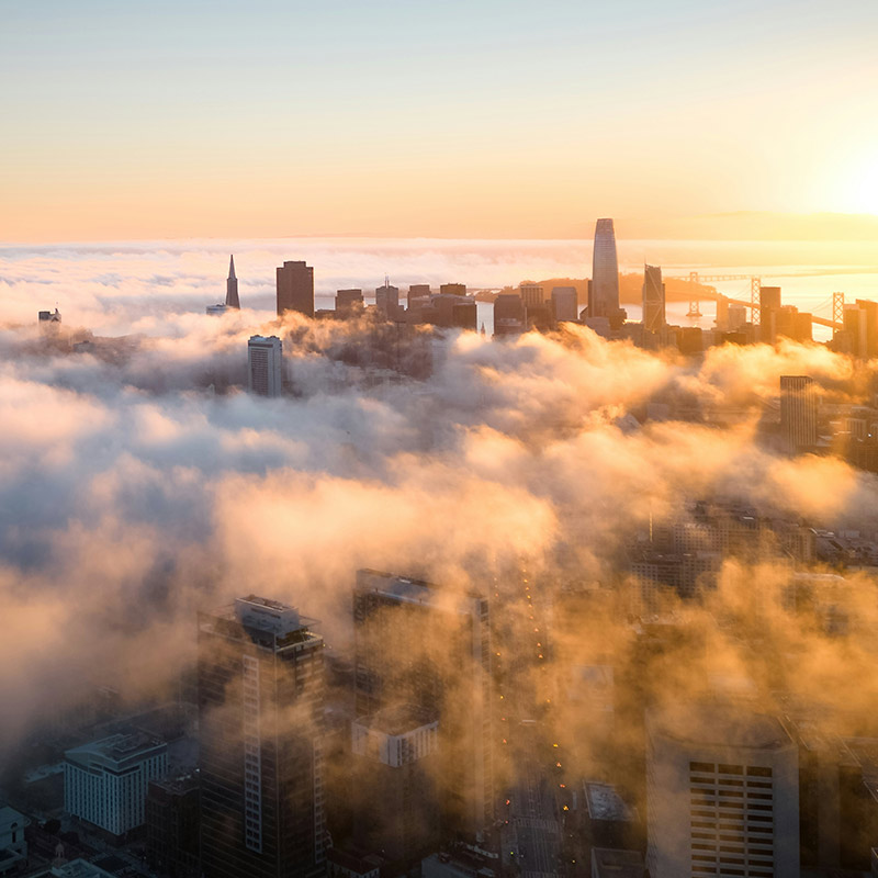 A city skyline at sunrise, with tall buildings emerging through a thick layer of fog.
