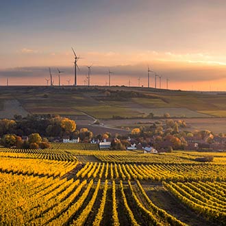 A rural landscape at sunset with wind turbines on the horizon and fields of crops in the foreground.