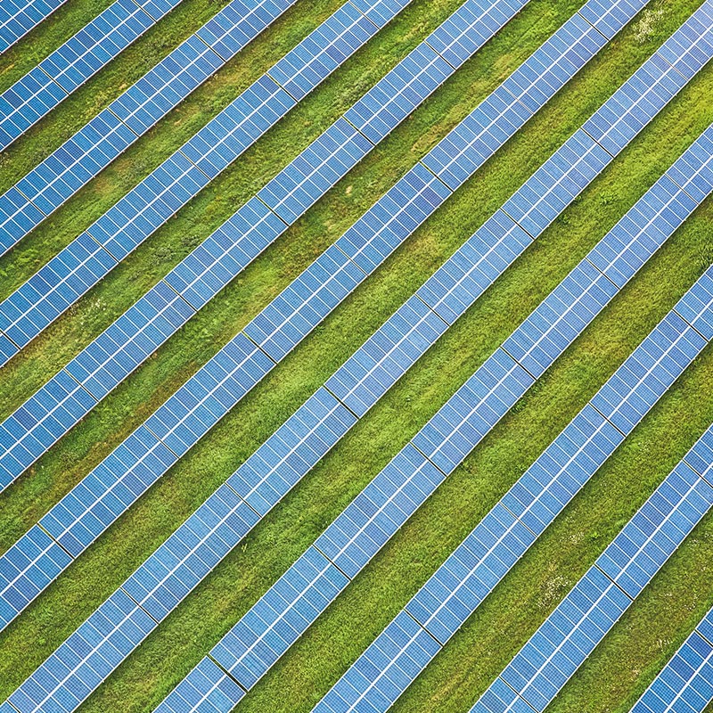 Aerial view of rows of blue solar panels installed on green grassy land.