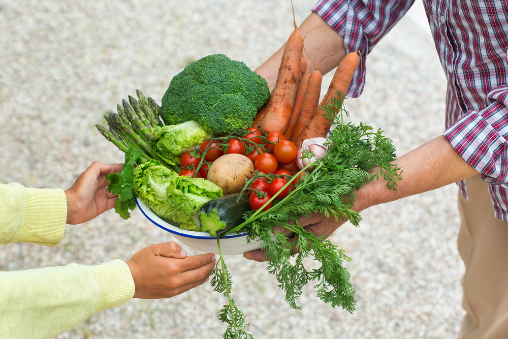 food changing hands from farmer to other partners